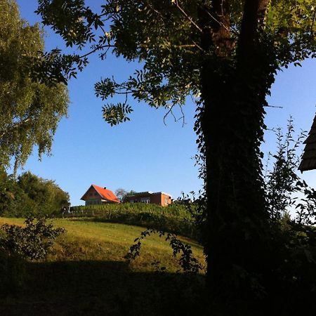Ferienhaeuser Im Weingarten Fehring Dış mekan fotoğraf
